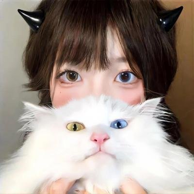 鸿雁 在线观看