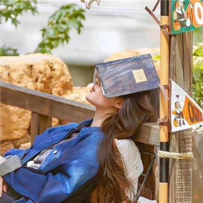 女守卫们 在线观看
